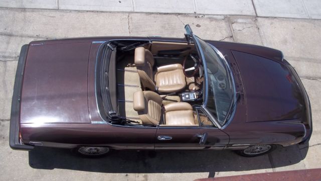 1979 Alfa Romeo Spider Veloce - photo 3