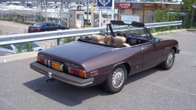 1979 Alfa Romeo Spider Veloce - photo 8
