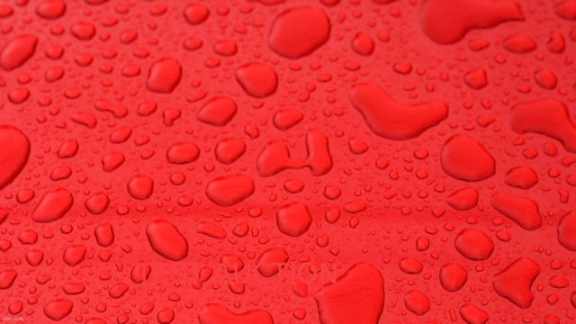 1901 Other Makes CPS-qa123456 brown - photo 11