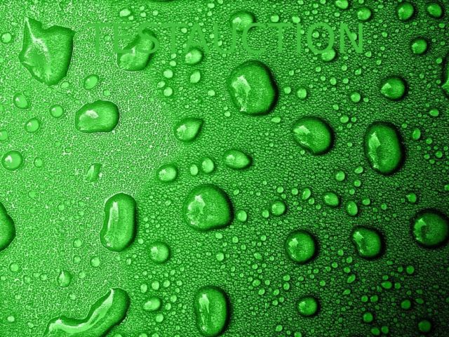 1901 Other Makes CPS-qa123456 brown - photo 7