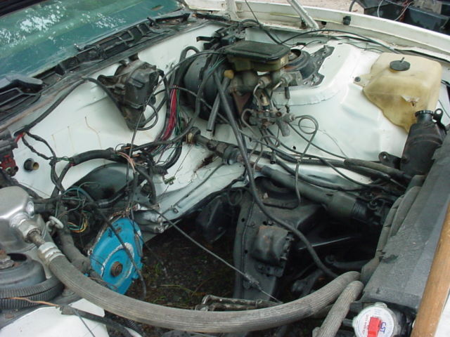 1984 Pontiac Trans Am - photo 10
