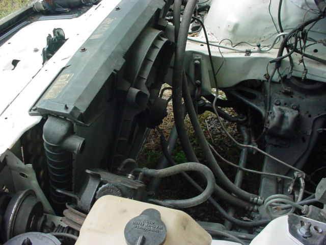 1984 Pontiac Trans Am - photo 11