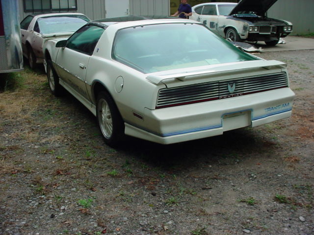 1984 Pontiac Trans Am - photo 12
