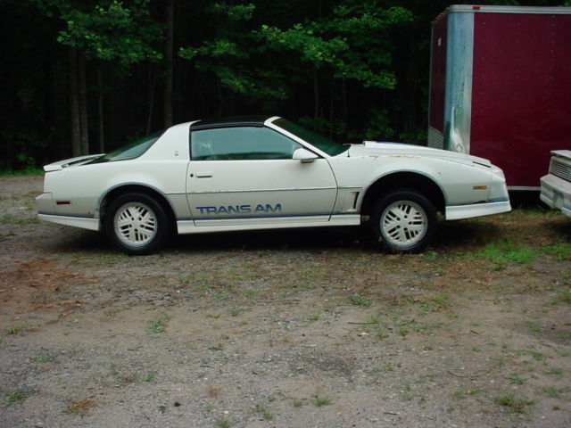 1984 Pontiac Trans Am - photo 4