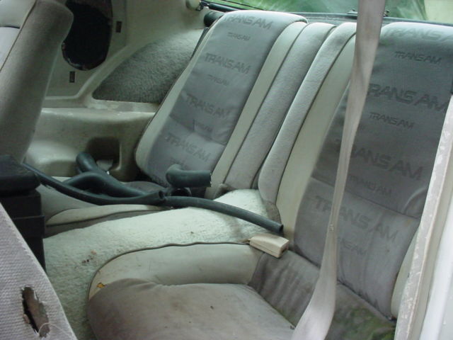 1984 Pontiac Trans Am - photo 8