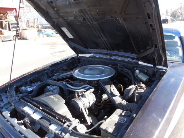 1985 Mercury Capri - photo 3