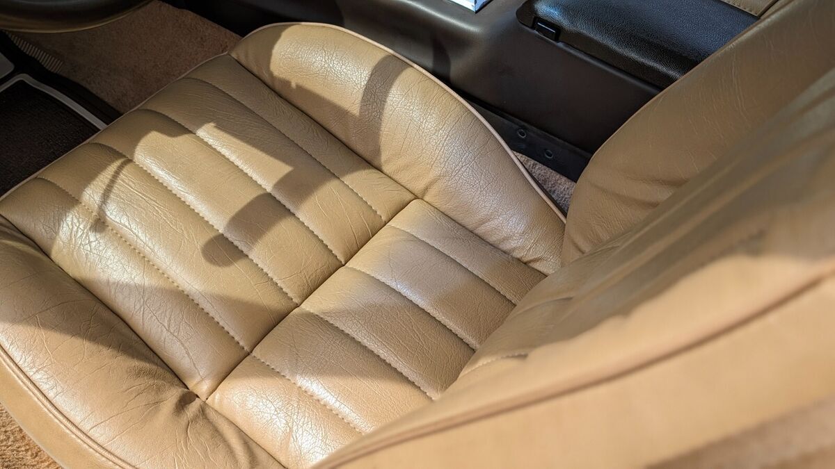 1981 Pontiac Trans Am - photo 10