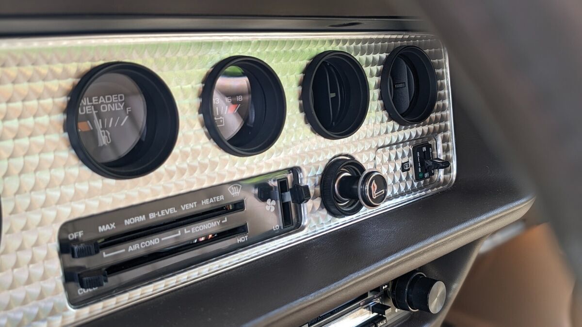 1981 Pontiac Trans Am - photo 12