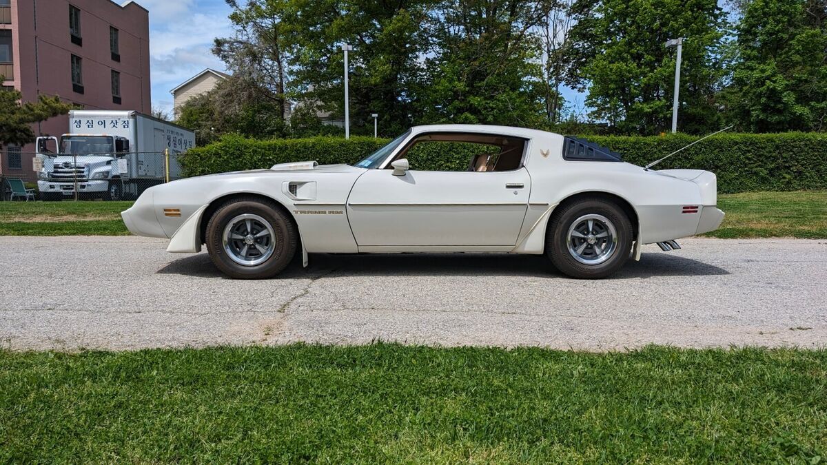 1981 Pontiac Trans Am - photo 2