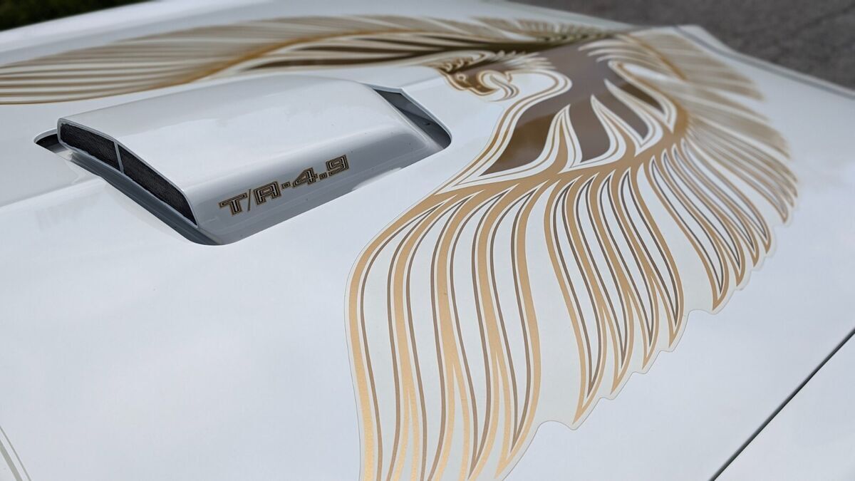 1981 Pontiac Trans Am - photo 6