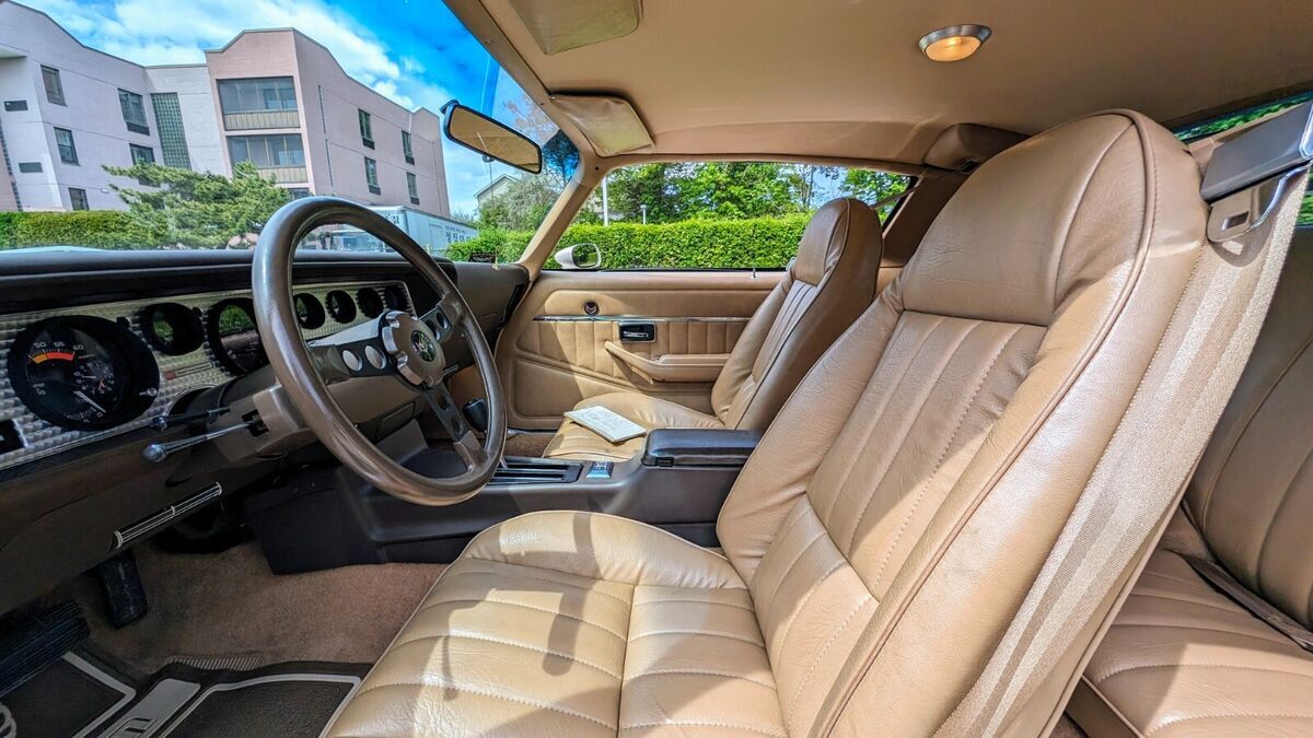 1981 Pontiac Trans Am - photo 8
