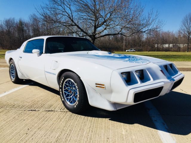 Attention COLLECTORS! 1981 Pontiac Firebird Trans Am NO RESERVE! 1981 Pontiac Trans Am