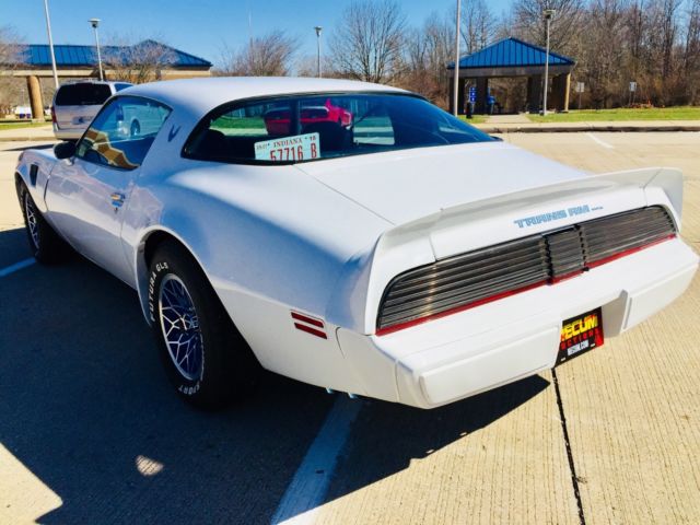 1981 Pontiac Trans Am - photo 6