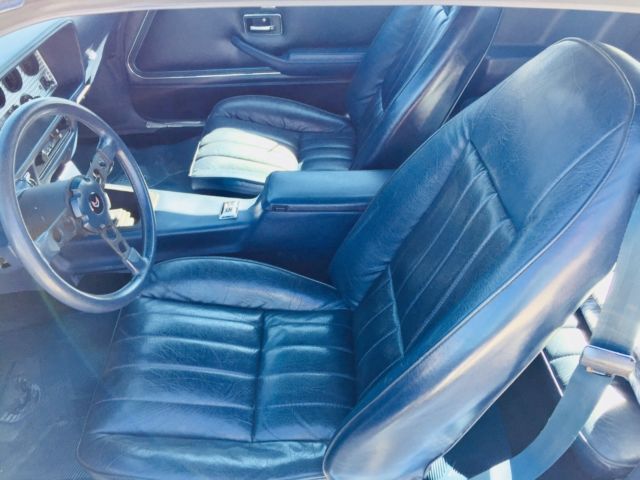 1981 Pontiac Trans Am - photo 8