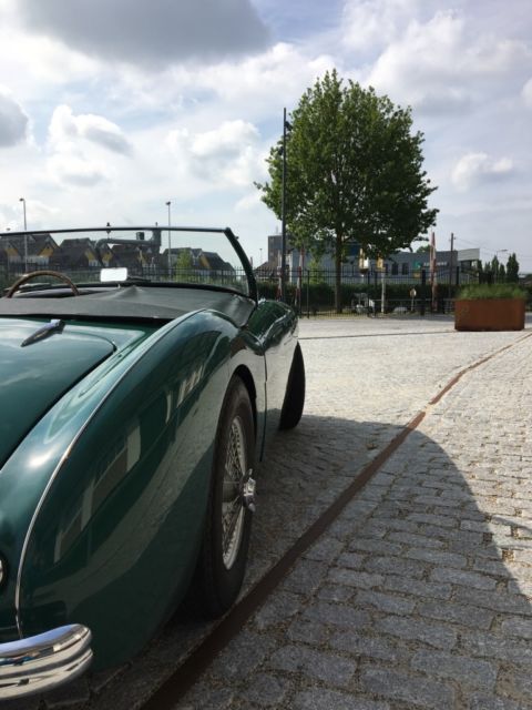 1954 Austin Healey 100 Green leather - photo 6