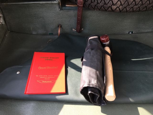 1954 Austin Healey 100 Green leather - photo 9