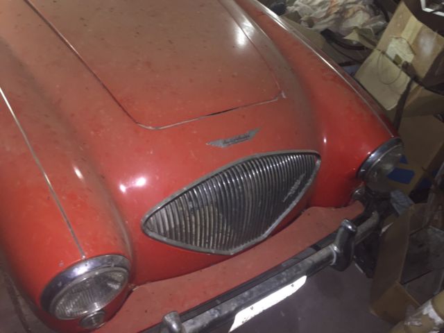 19540000 Austin Healey Other - photo 2