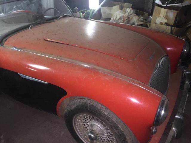 19540000 Austin Healey Other - photo 3
