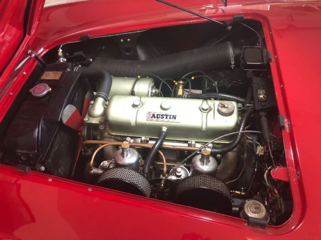 1954 Austin Healey - photo 5