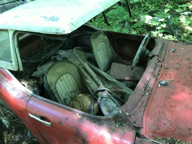 1960 Austin Healey 3000 Red/white - photo 3