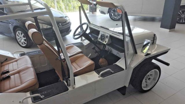 1988 Austin - photo 10