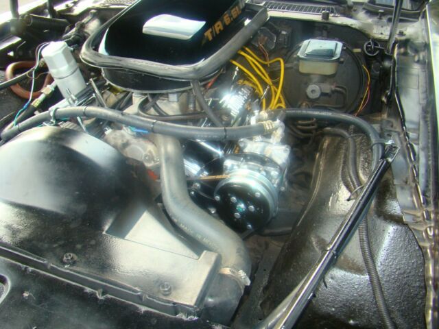 1981 Pontiac Firebird T/A - photo 11