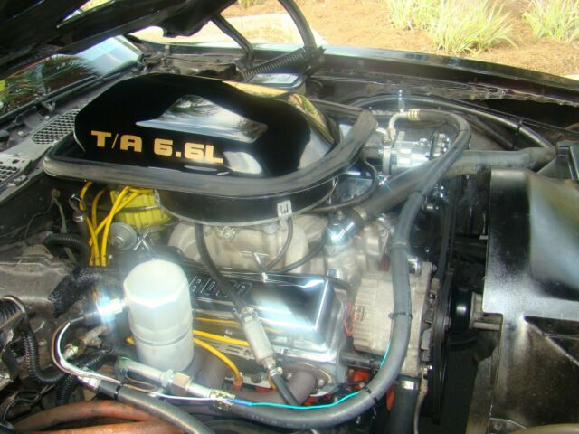 1981 Pontiac Firebird T/A - photo 12