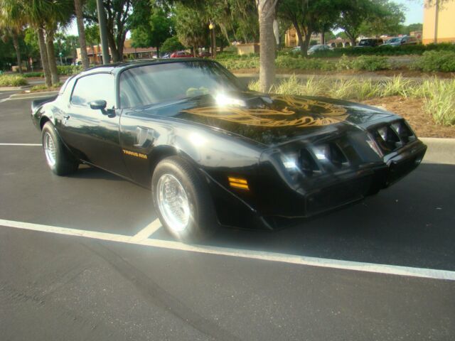 1981 Pontiac Firebird T/A - photo 4