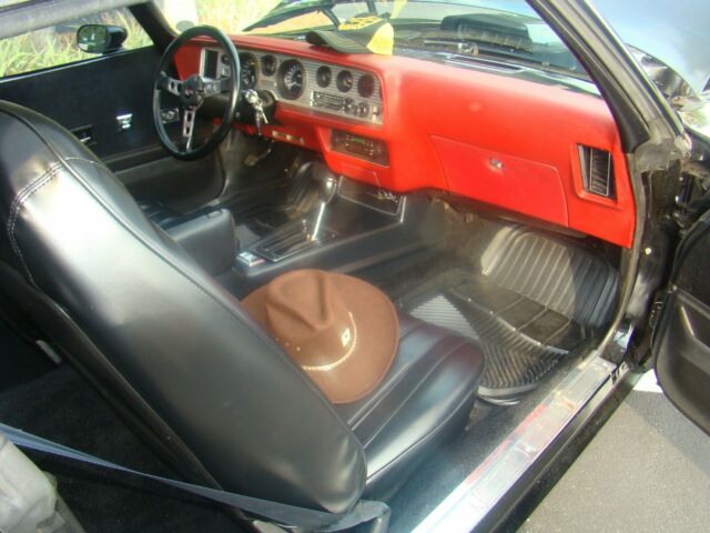 1981 Pontiac Firebird T/A - photo 8