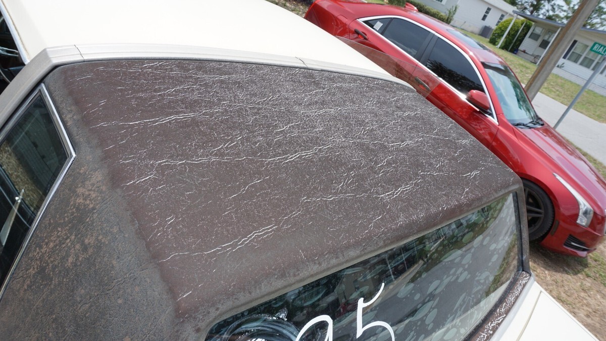 1983 Oldsmobile Cutlass - photo 11