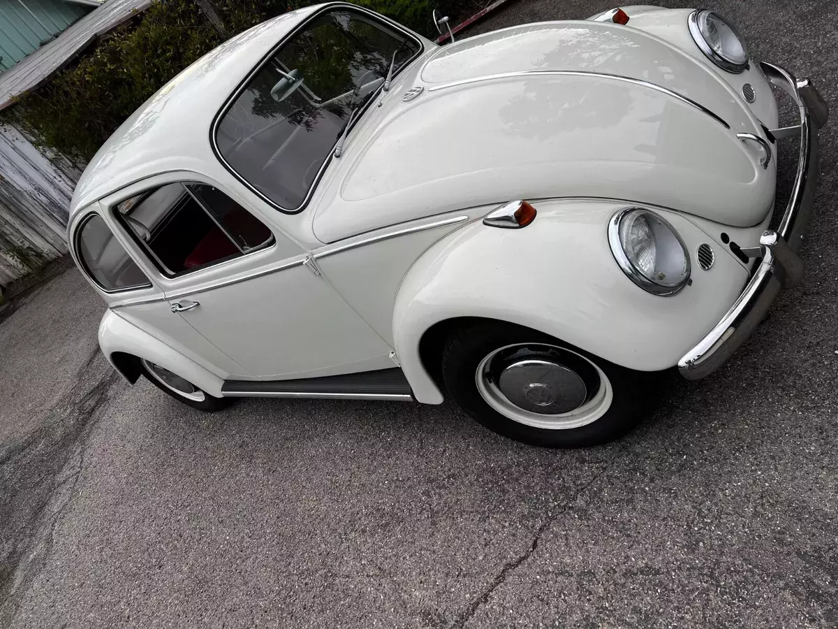 automobiles for sale cars used cars 1966 Volkswagen Beetle - Classic