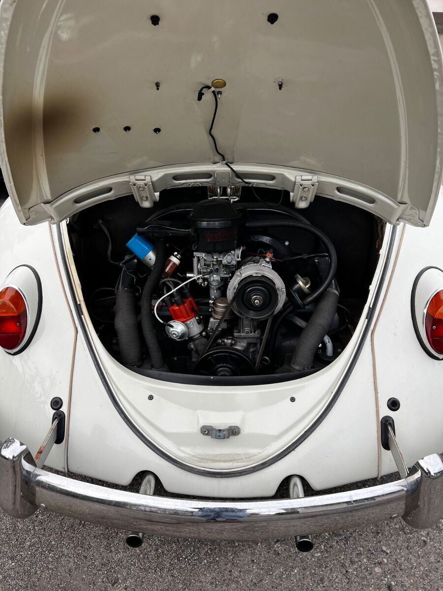 1966 Volkswagen Beetle - Classic - photo 3
