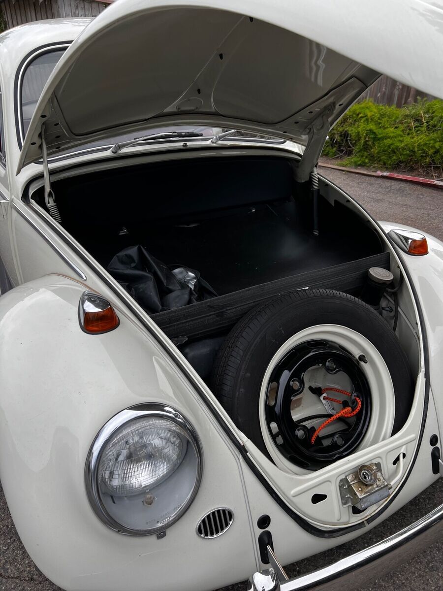 1966 Volkswagen Beetle - Classic - photo 4