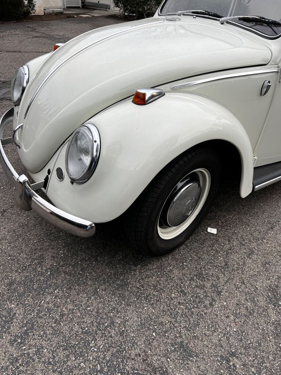 1966 Volkswagen Beetle - Classic - photo 5