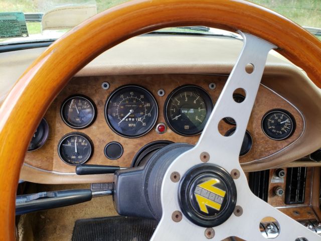 1981 Studebaker Avanti Avanti II - photo 10