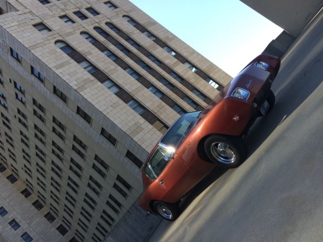 1973 Studebaker Avanti - photo 6