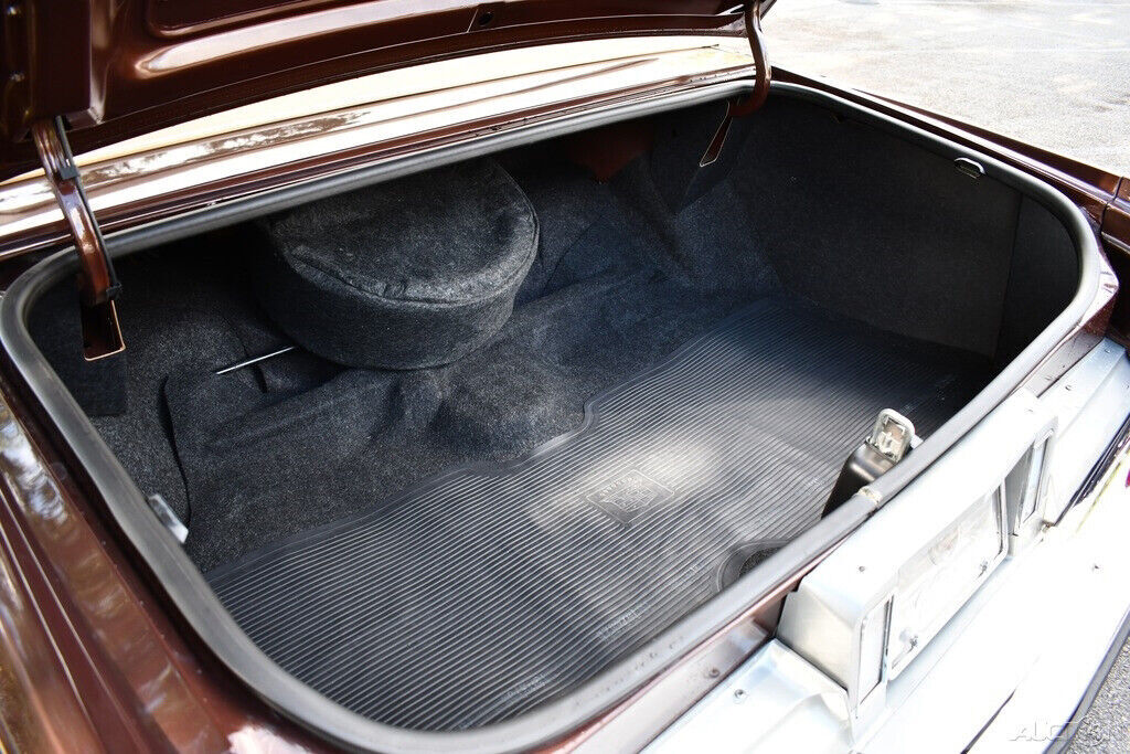 1977 Cadillac DeVille Spectacular Grand National 1st Place Winner - photo 10