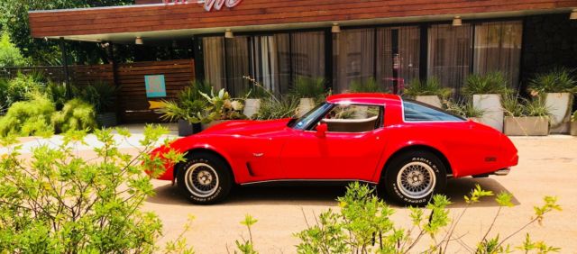 1978 Chevrolet Corvette 25th Silver Anniversary - photo 12