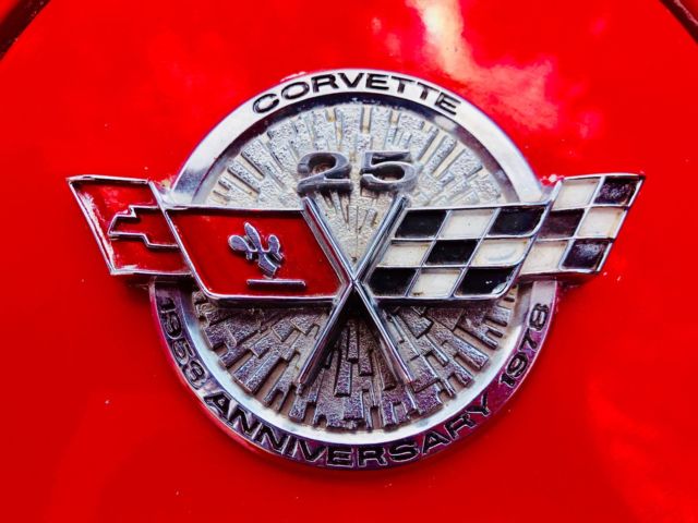 1978 Chevrolet Corvette 25th Silver Anniversary - photo 6