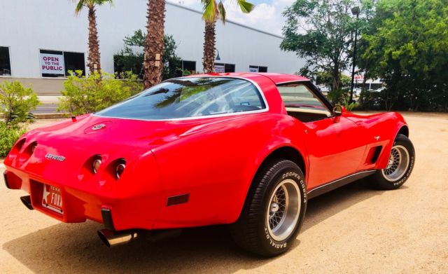1978 Chevrolet Corvette 25th Silver Anniversary - photo 8