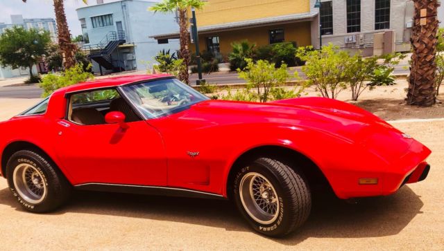 1978 Chevrolet Corvette 25th Silver Anniversary - photo 9