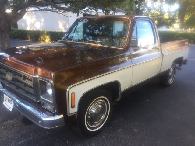 AWESOME AND RARE BIG 10 SHORT BED ALL OPTIONS AND ALL ORIGINAL 1979 Chevrolet C-10 BONANZA