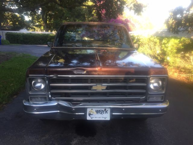 1979 Chevrolet C-10 BONANZA - photo 4