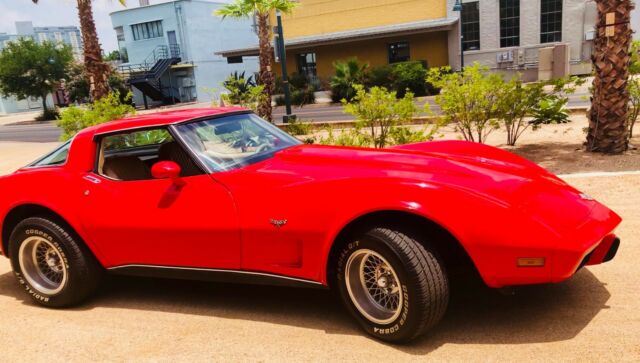 1978 Chevrolet Corvette 25th Anniversary - photo 9