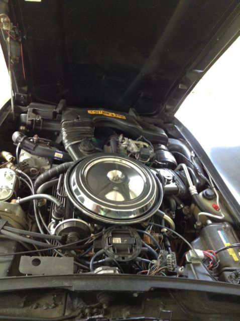 1981 Chevrolet Corvette - photo 12