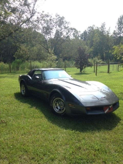 1981 Chevrolet Corvette - photo 2