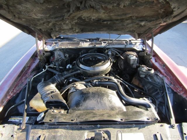 1978 Pontiac Firebird - photo 9