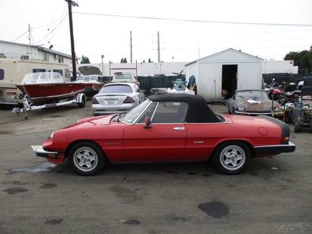 1986 Alfa Romeo Spider Veloce - photo 2