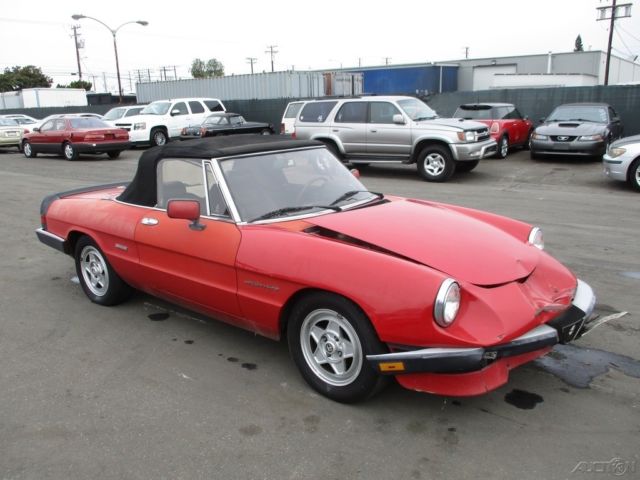 1986 Alfa Romeo Spider Veloce - photo 5