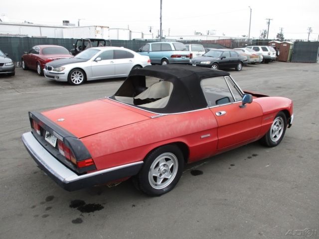 1986 Alfa Romeo Spider Veloce - photo 6